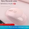 Wireless Dual-Mode Silent Office Mouse with Customizable Logo and Charging Capability