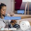 Remote Voice Control Smart Wifi Socket 110-240V Smart Plug Outlet Smart Plug  Home Appliances