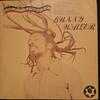 Виниловая пластинка BUNNY WAILER Rock N Groove NONE Solomonic 1981 Ямайка Регги Ска Даб Б/у
