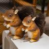 21/25cm Big Umbrella Tail Plush Toy Realistic Squirrel Cute Soft Stuffed Animals Doll for Girls Children Gift Decor