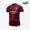 Puma Galleria Puma Soccer Short Sleeve Jersey Manchester 24 25 Authentic 77509603