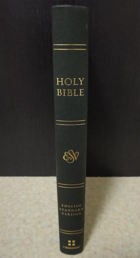[Б/У] СВЯТАЯ БИБЛИЯ АНГЛИЙСКАЯ СТАНДАРТНАЯ ВЕРСИЯ