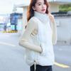 Short Outer Wear Autumn and Winter New Versatile Korean Version Loose Vest Vest Jacket