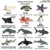 Sea Turtle Dolphin Marine Animal Miniatures Collection For Kids Educational Toys And Decor