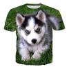 Pet Dog Husky 3D Print T-shirt Clothing Animal Husky T Shirts Men Women Summer New Fashion Casual Hip Hop Tops