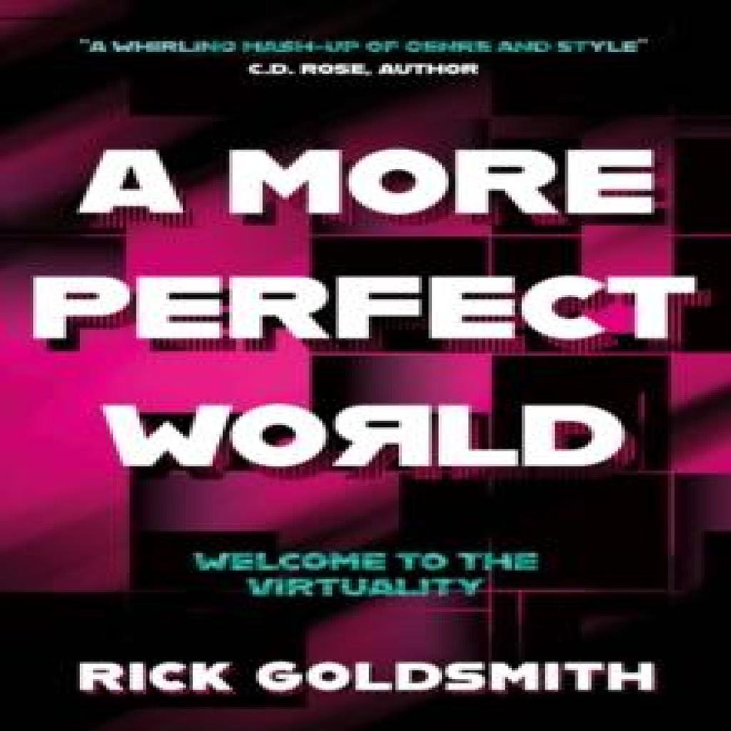 A More Perfect World by Rick Goldsmith Paperback Book 9781835742105
