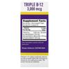 Triple B-12, 3,000Mcg, Instant Dissolve Microlingual 60 Tablets