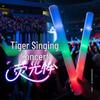 Seven-Color LED Foam Stick for Concerts and Events