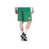 Nike Джерси для фанатов NBA City Edition 2019-2020, шорты Celtics, мужские шорты, зеленые BV5862-312