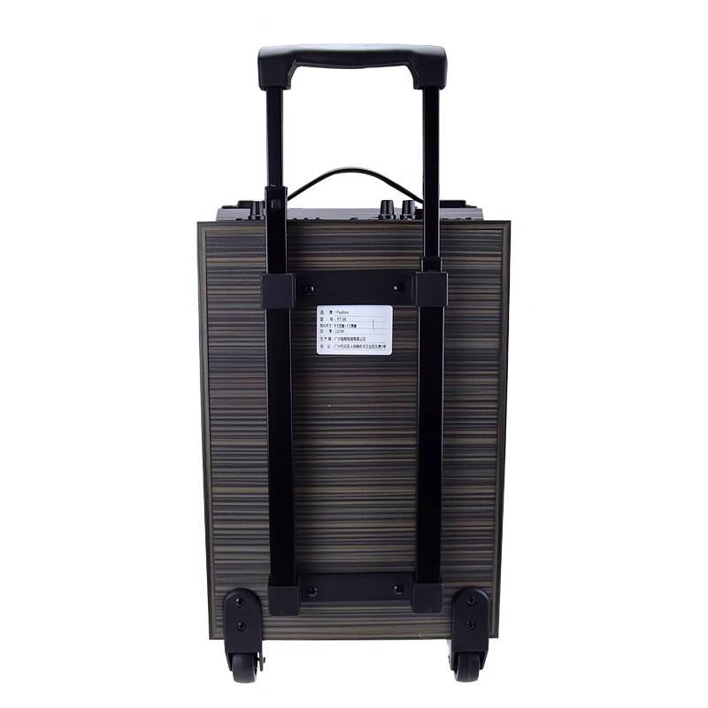 GAV K118 8-inch Portable Outdoor Speaker with Wireless Microphone