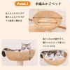 Nani New Cat Tower Made of Natural for Large Interior for Multiple with Observation Cat Clear for Claw 144cm Stable [Nani Life] \2024 Model/ Wood,