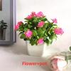 Fake Miniature Daisy Plant Decor With Plastic Craftsmanship For Living Spaces