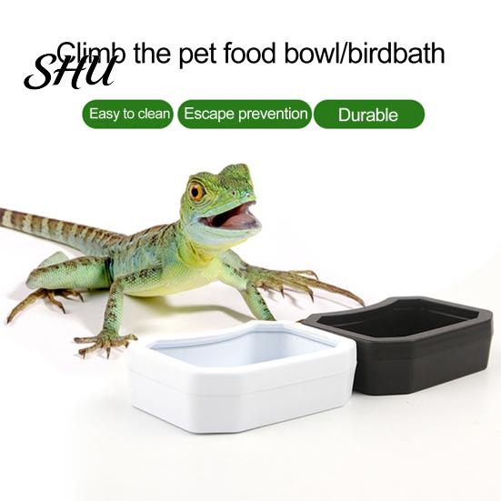 Turtle Water Box Reptile Bowl Plastic Food Grade Harmless Pet Feeder Dish Aquarium Ornament Crawling