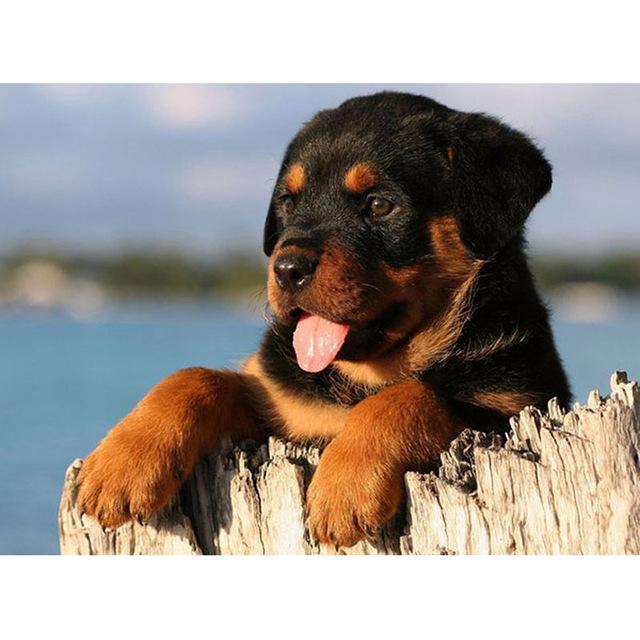 DIY 5D Алмазная картина Собака Милый питомец Вышивка крестом Алмазная вышивка Животное Мозаика Полный дрель Круглый