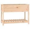 VidaXL Planter with Shelf 111.5x54x81 Cm Solid Pine Wood 823787