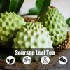 40 Premium Soursop Graviola Leaf Tea Bags, 100% Natural and Pure from Soursop Leaves, Handmade, Made With Natural Materials-Corn Fiber Tea Bag less