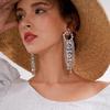 S925 Silver Geometric Rhinestone Tassel Earrings - Sparkling Diamond Round Long Design