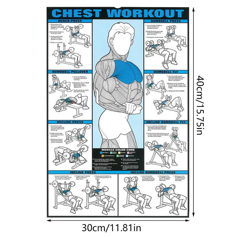 Спорт Фитнес Плакат Печать Тренировка Мышц Холст Картина Настенная Картина Для Тренажерного Зала Гостиная Украшения Дома