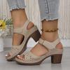 2025 New Summer Women Chunky Heel Sandals Solid Color Fashion High Heels Sandals for Women Buckle Strap Plus Size Women Shoes