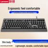 Lenovo Проводная клавиатура ThinkPlus K100