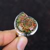 Ammolite In Ammonite Fossil Ring 925 Sterling Silver Ring Adjustable Ring Handmade Jewelry Beautiful Gemstone Ring Engagement Gifts for Wife