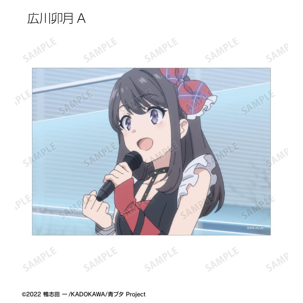 Негодник не мечтает о девушке, которая видит сны, Коллекционный набор бромидов со сценами, 12 штук