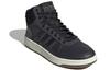 Кроссовки Hoops 2.0 Adidas Neo Mid 'Carbon Gum' GZ7959