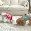 Autumn Thin Striped Vest Schnauzer Teddy Bigbear Small Dog Dog Clothing Cat Devon Cat Clothing