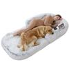 Foldable Plush Dog & Human Shared Sofa Bed