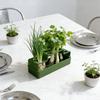Ventilated Chives Seedling Tray Lettuce Soilless Cultivation Pot Water Cultivation Box  Hydroponic
