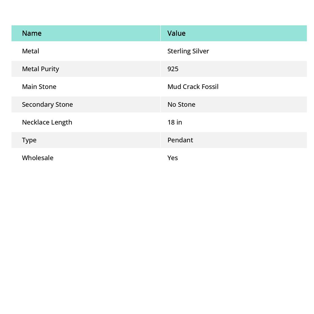 Ископаемый самоцвет с трещинами грязи, серебряная подвеска 925 пробы, 2,29" p5N21