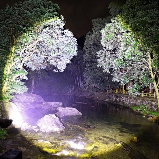 High Lumens Ultra-Bright LED Flashlight Waterproof Compact Size Portable Rechargeable Emergency Torchlight Camping Gear