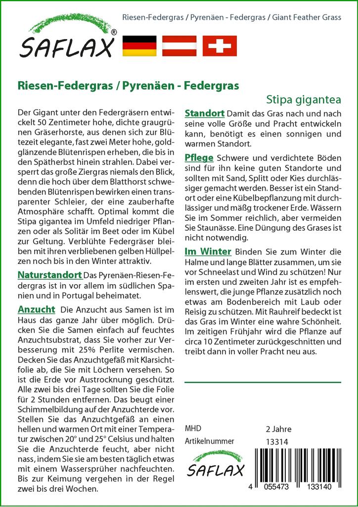 SAFLAX Garden in the Bag - Ковыль гигантский - 10 семян - С субстратом в подходящем пакете - Stipa gigantea