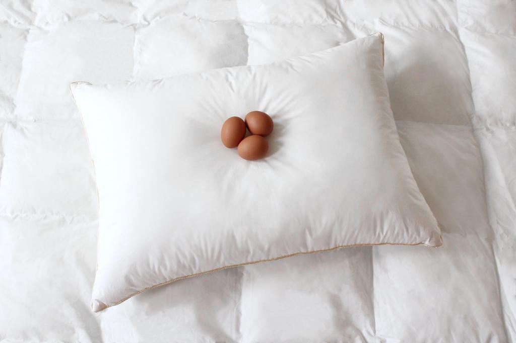 Danfill Fiber Pillow Premium with Premier Satin Pillow Cover (JPA227-AKF02-5)