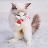 Игрушка для кошек Petio Wild Mouse Squeaky Shrimp с кошачьей мятой