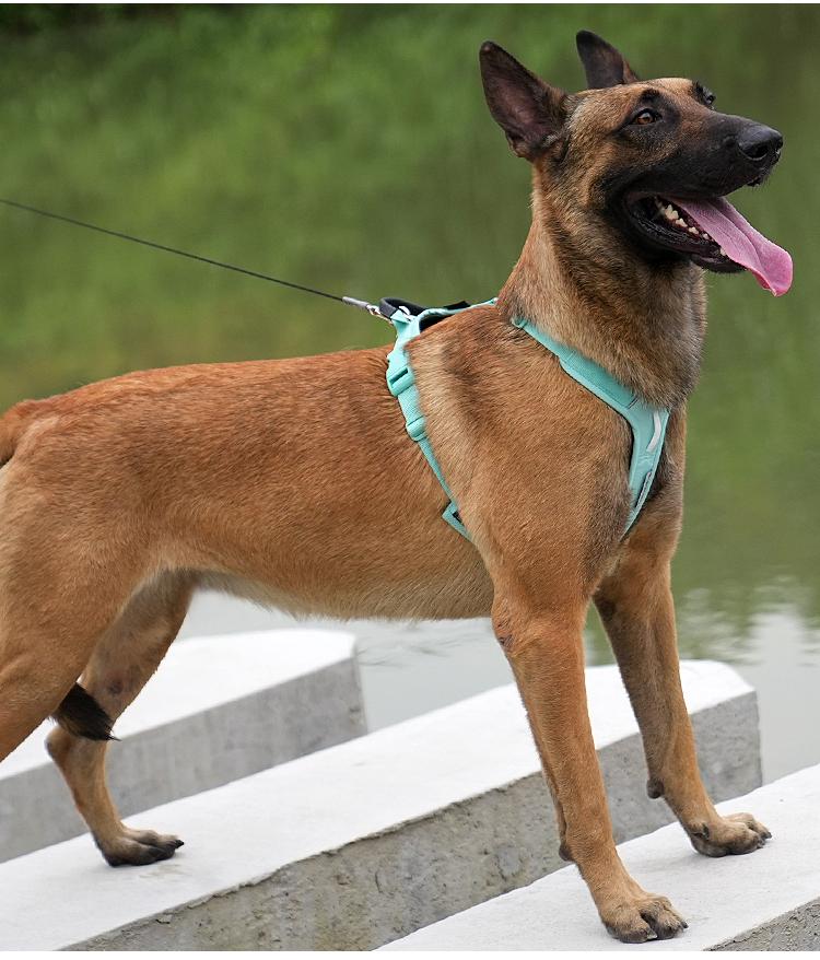 МАЛЕНЬКАЯ КОМБИНАЦИЯ Светоотражающая нейлоновая шлейка для собаки, жилет без рывков, мягкая регулируемая, для собак среднего и крупного размера, для прогулок на улице, бега