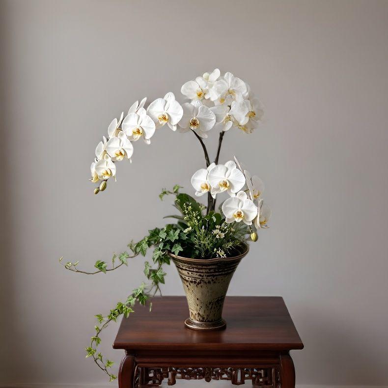 Luxury Ceramic Hydroponic Pot for Phalaenopsis Orchids and Pennywort