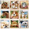 Animal Series Latch Hook Pillow Hooks Hand Knitted Embroidery Carpet Pillow Cartoon Embroidery Latch Hook Kits Smyrna Package