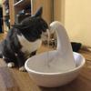 Feeding Water Flowing Fountain For Cat Dog Automatic Swan Pet Cat Water Dispenser Electric Water Dispenser Pet Cat Drinking Bowl