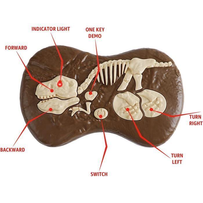 Jouet Dinosaure télécommandé Rechargeable pour et Enfants, 5 Canaux 2.4G pour Garçon Filles, électroniques RC Vélociraptor de Marche