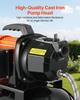 1 HP Shallow Well Pump with Pressure Tank, 230V 3750 LPH, Cast Iron Irrigation Jet Pump with 19 L Tank, Automatic Water Booster Transfer System,