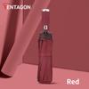 TENTAGON автоматический зонт со светодиодным фонариком, три складных УФ-зонта для дождя и солнца, 10 ребер, ветрозащитный портативный