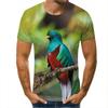 Fashion Colour Painting Parrot Graphic T Shirts Summer Men Casual Trend 3D Printed Short Sleeve Hip Hop Harajuku Streetwear Tees