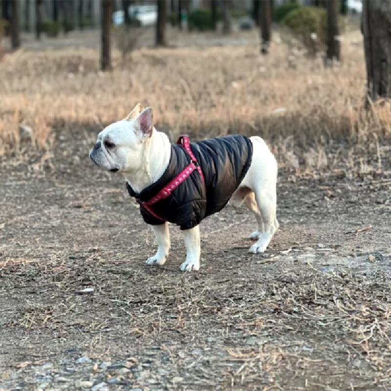 French Bulldog Coat Jacket Winter Pug Dog Clothes Jumpsuit Thicken Warm Pet Apparel Frenchies Dog Costume Outfit Dropshipping