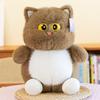 Soft Big Eyes Cat Plush Doll Fluffy Cat Stuff Doll Plush Pillow Cat Plush Toy  Children's Toys