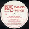 12-дюймовая пластинка X-BASS - Peace BZ71 INTERNATIONAL B 1994 US Танцевальная и Электронная Б/У