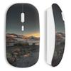 Wireless Landscape Mouse