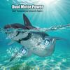 2.4G RC Shark with Waterproof Remote Control, Water Spray & LED, High Simulation Animal Toy for Kids Summer Pool Party