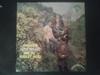 LP Пластинка GENE STUART & THE MIGHTY AVONS - Представляем DOL1003 Dolphin Records 1971 Великобритания Рок Б/У