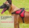 Explosion-Proof Dog Harness: K7 Bone Design with Leash and Chest Support